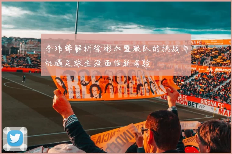 李玮锋解析徐彬加盟狼队的挑战与机遇足球生涯面临新考验