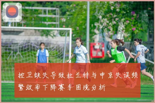 控卫缺失导致杜兰特与申京失误频繁效率下降赛季困境分析