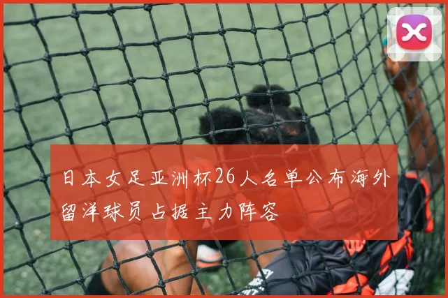 日本女足亚洲杯26人名单公布海外留洋球员占据主力阵容